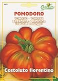 【HORTUS社種子】【Art.4451】イタリアントマト・フィオレンティーノ