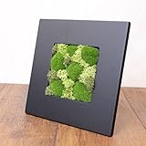 A plus floral art インテリアグリーン モスフレーム アレンジ Crop Moss 正方形 黒 フェイクグリーン 観葉植物 造花 壁掛け
