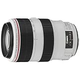Canon EFレンズ EF70-300mm F4-5.6L IS USM ズームレンズ 望遠
