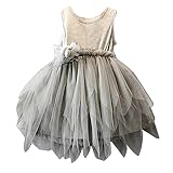 EkimiベビーGirls幼児用プリンセスページェントウェディングチュールチュチュドレス カラー: グレイ