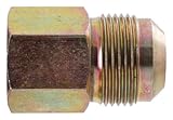 LDR 509 18-14-8 Female Brass Gas Line Fitting, 15/16-Inch Flare x 1/2-Inch FIP by LDR Industries