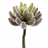 Shinoda Design Center 0031301224 2 Piece Faux Flocked Succulent Stem Set 6 Lavender【クリスマス】【ツリー】 [並行輸