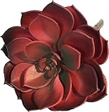 フェイク多肉植物Echeveriaレッドグリーン5インチ