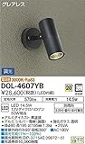 大光電機　LEDアウトドアスポット 【DOL-4607YB】