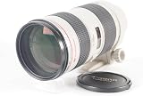 Canon 望遠ズームレンズ EF70-200mm F2.8L USM フルサイズ対応