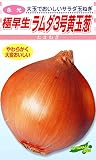 松永種苗 永光 極早生 ラムダ3号黄玉葱 (タマネギ) 小袋5ml