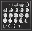 All We Love We Leave Behind by Converge (2012-05-04)