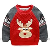 (チェリーレッド) CherryRed ベビー 子供服 男の子 防寒対策 綿服 スウェット Tシャツ 厚手 裏毛 暖かい 遊び着 通学 普段着 通園 120 レッド