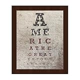 American Eye Chart – Distressed Stars And Bars Deconstructedフラグ壁アートプリント 8x10 AMX0000022FRM08X10SES