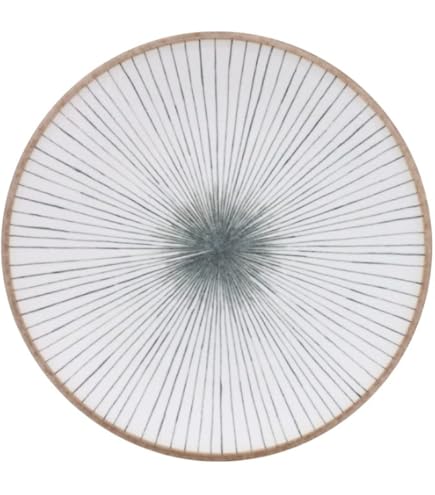 ［新品未使用] 民藝窯 岩殿寺窯大皿　＊野鳥のお好きな方に！ 新品未使用] 民藝窯 岩殿寺窯大皿 ＊野鳥のお好きな