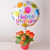 お誕生日バルーン リーガース鉢植え(オレンジ) ギフトセット 花鉢 フラワーギフト