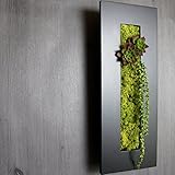 A plus floral art インテリア グリーン 造花 プリ アレンジ ボタニカルフレーム わびさび 黒 フェイクグリーン 多肉植物 観葉植物 造花 壁掛け ギフト
