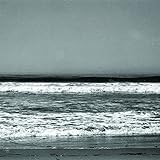 Pedals/Petals (Glo-In-The-Dark) (10")[10 inch Analog]