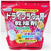 Amazon.co.jp: 固まるハーバリウム COOL A*RT 3Dプレミアム 1.6L (A液