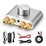 Nobsound NS-01G Pro Bluetooth 5.0 100W HiFi パワーアンプ スピーカー用 オーディオアダプター DC19V 電源アダプター付き (シルバー)