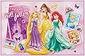 スケーター レジャーシート S 60×90cm プリンセス 20 ディズニー VS1-A