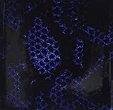 Rikki Knight Blue Python Snake Skin Design Art Ceramic Tile 4 by 4-Inch [並行輸入品]