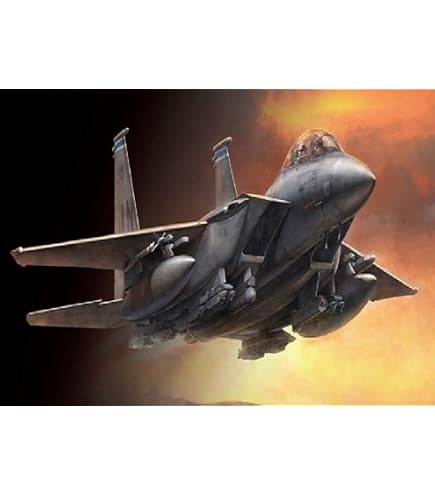Amazon | グレートウォールホビー 1/48 アメリカ空軍 F-15E 戦闘爆撃機