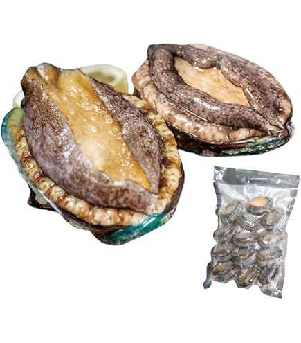 Amazon.co.jp: 生食用 冷凍 蝦夷鮑 1kg ( 個41-50g ) あわび エゾ 鮑
