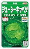 【種子】キャベツ 金春キャベツ 1.4ml