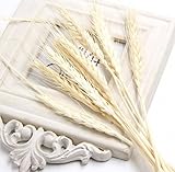 ナチュラル! 20ピース人工秋小麦フラワーブーケ花輪フェイク花diyスクラップブッキング&ホームガーデン&ウェディングパーティー装飾