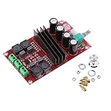 Baoblaze 多機能 実用的　TPA3116 デジタルアンプボード　 DC 12-24V 　デュアルチャンネル オーディオ　モジュール　