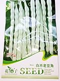 【珍 種子】　青白色つるインゲン豆　(15粒入)　