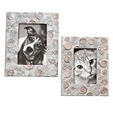 Brown Spirula Picture Frames - Set Of 2 Model-18566 by Uttermost [並行輸入品]