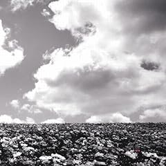 �Ԃ̖� / BUMP OF CHICKEN