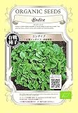 エンダイブ / 広葉 / 非結球型 / 有機 種子 固定種 / グリーンフィールド / 葉菜 [小袋]