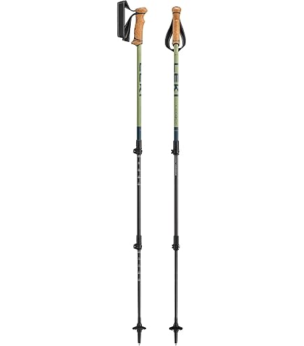LEKI Wanderfreund High Five Single Staff - 63-120cm | Aluminum