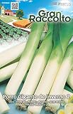 野菜の種 リーキ・ジャイアント