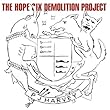 Hope Six Demolition Pr [12 inch Analog]
