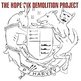 Hope Six Demolition Pr [12 inch Analog]