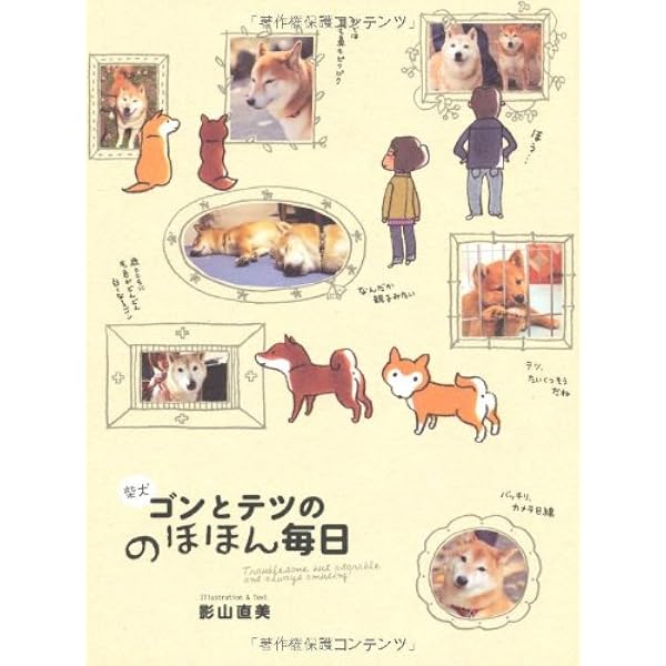 Amazon.co.jp: 柴犬ゴンとテツのポカポカ日和 : 影山直美: 本