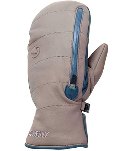 Amazon | スキー グローブ ゴアテックス スワニー SWANY SX-111A Union