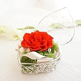 【ベルシック】 プリザーブドフラワー　プリンセスローズ ・レッド　枯れないお花　母の日　お祝・お見舞い　　　＜即日出荷＞＜送料無料（一部地域を除き）＞
