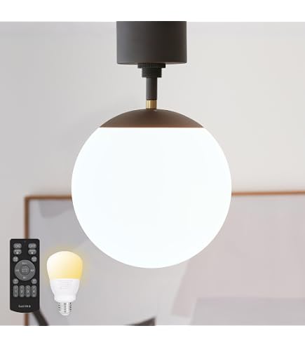 Amazon.co.jp : ARTWORKSTUDIO Groove ceiling lamp LED電球付属モデル 