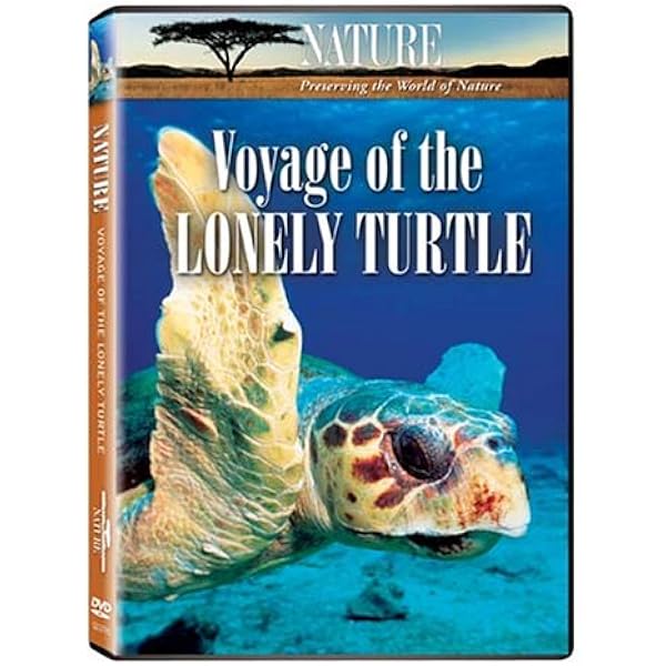 Amazon.co.jp: タートル [DVD] : アカウミガメ, ニック・ストリンガー: DVD