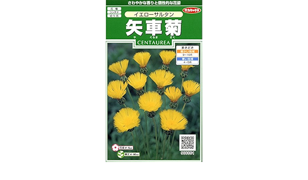 Amazon サカタのタネ 実咲花6861 矢車菊 イエローサルタン 花