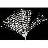 Bulk Buy : Darice DIYクラフト3 mmパールスプレークリーム10インチ144ピース( 3 - Pack b15050 – 29