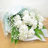 [エルフルール]生花 白カーネーション20本&かすみ草 花束