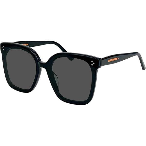 Amazon | [ジェントルモンスター] Lilit 01 サングラス ウェリントン