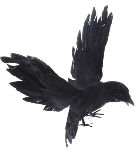 Amazon.co.jp: プエブコ PUEBCO バードオフジェ ARTIFICIAL