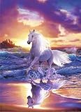 Christian Riese Lassen Free Spirit壁壁画壁紙壁画72 x 100 in