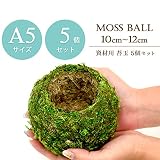 【資材苔玉Ａ５サイズ】資材苔玉　10～12cmの苔玉 (5個セット)