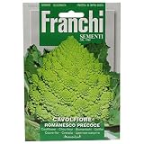 野菜の種 カリフラワー・ロマネスコ Romanesco Precoce 30/51
