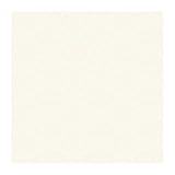 York Wallcoverings Color Expressions Target Block 8 x 10 Wallpaper Memo Sample Pearly White/Beige [並