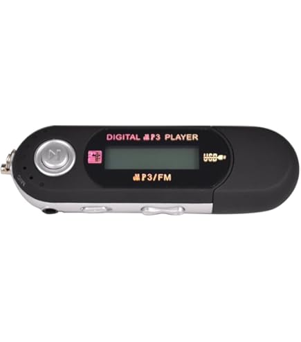 Amazon.co.jp: パナソニック デジタルメディアプレイヤー 16GB