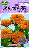 カネコ種苗 草花タネ728 きんせん花 むらじ 10袋セット